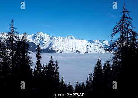 Michael Bunel / Le Pictorium -  Skiing in the Alps -  5/1/2016  -  Savoie / France / La plagne  -  sea of clouds illustration in front of mont blanc. Stock Photo