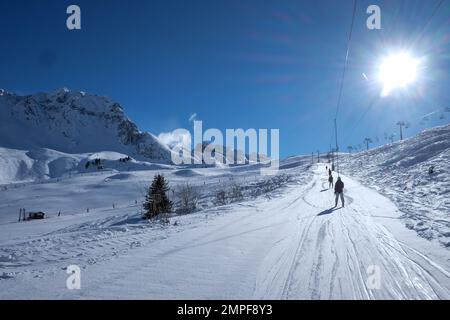 Michael Bunel / Le Pictorium -  Skiing in the Alps -  3/1/2016  -  Savoie / France / La plagne  -  ski holiday illustration. 23 January 2023. La plagn Stock Photo