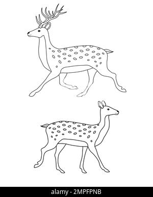 Vector two flat hand drawn outline deer isolated on white background Stock Vector