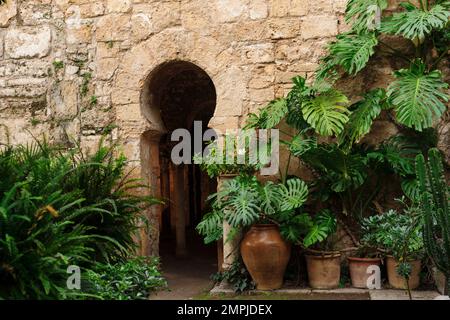 baños árabes, - Banys Àrabs - portal con arco de herradura , siglo X, Palma, Mallorca, islas baleares, españa, europa Stock Photo