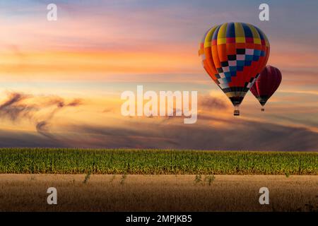 Colorful hot air balloons flying over field at sunset. Stock Photo
