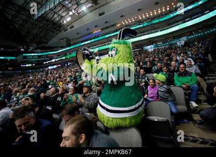 Hockey NHL Dallas Stars Mascot Victor E. Green Stuffed Plush 10” Brand New  W/tag