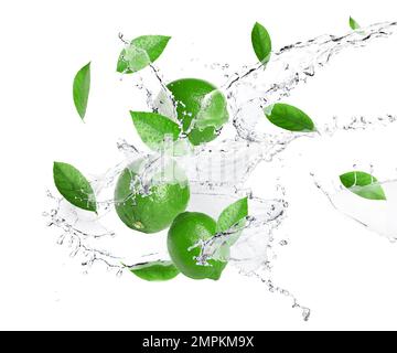 Ripe limes, fresh mint and splashing water on white background Stock Photo