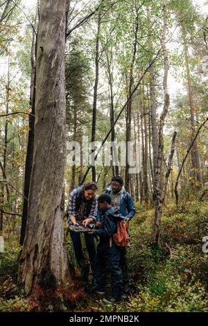 Mother showing tree to son while exploring forest during vacation Stock ...