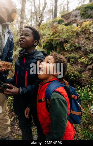 Curious sons standing with father while exploring forest during vacation Stock Photo