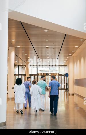 Rear view of male and female doctors walking in hospital Stock Photo