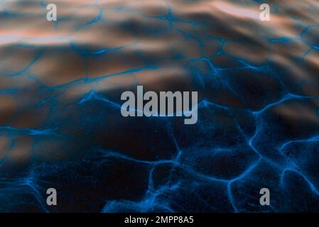 Abstract photo of glowing water surface with dark blue light reflection. The background is natural. Textures Stock Photo