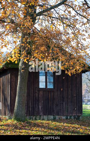 Old wooden long cabin at the edge of a forest in autumn Stock Photo - Alamy