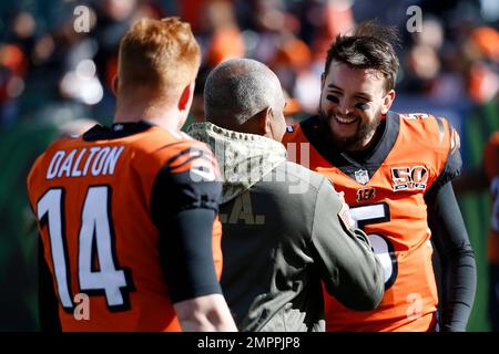 2013 Afc North Champs  Marvin lewis, Champion, Cincinnati bengals