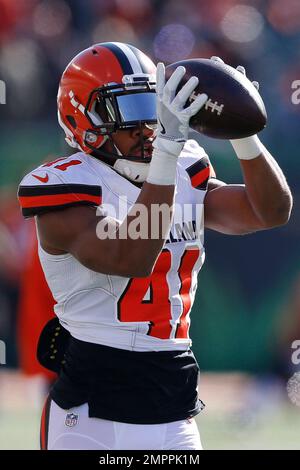 Cleveland Browns cornerback Michael Jordan catches a pass during NFL  football training camp, Thursday, July 26, 2018, in Berea, Ohio. (AP  Photo/Tony Dejak Stock Photo - Alamy