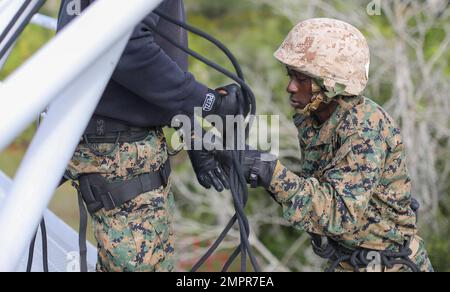 Recruits with India Company, 3rd Recruit Training Batallion, conduct the rappel tower, November 14, 2022. The rappel tower test recruits fears of heights and builds confidence in their gear. (US Marine Corps Photos by Lance Cpl. Keegan Jones). Stock Photo