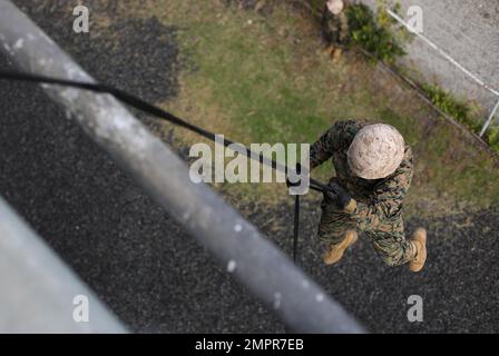 Recruits with India Company, 3rd Recruit Training Batallion, conduct the rappel tower, November 14, 2022. The rappel tower test recruits fears of heights and builds confidence in their gear. (US Marine Corps Photos by Lance Cpl. Keegan Jones). Stock Photo