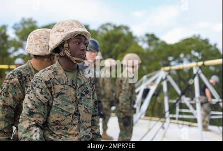 Recruits with India Company, 3rd Recruit Training Battalion, conduct the rappel tower, November 14, 2022. The rappel tower test recruits fears of heights and builds confidence in their gear. (US Marine Corps Photos by Lance Cpl. Keegan Jones). Stock Photo