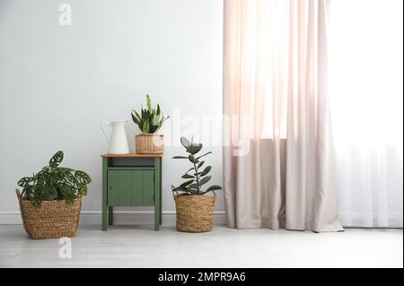 Different tropical plants in wicker pots near white wall at home Stock ...