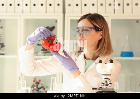 Scientist chemist in gloves and protective glasses holding tomatoes in laboratory Stock Photo