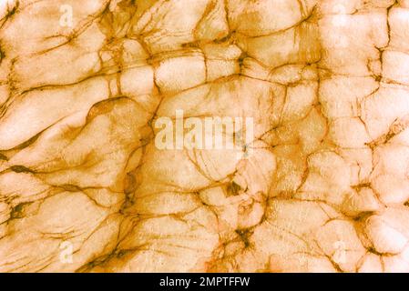Abstract light surface with slits or wrinkles. Stock Photo