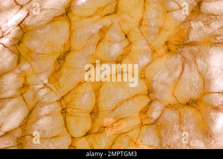 Abstract light surface with slits or wrinkles. Textures. Stock Photo