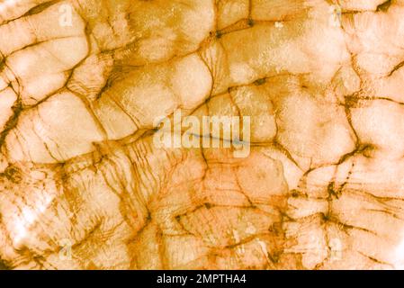 Abstract light surface with slits or wrinkles. Background. Stock Photo
