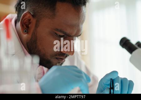 Concentrated scientist working on new research in laboratory Stock Photo