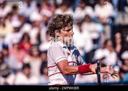 Chris Evert (USA)  competing in  the 1984 US Open Tennis. Stock Photo