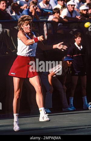 Chris Evert (USA)  competing in  the 1984 US Open Tennis. Stock Photo