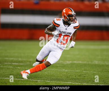 Playing quarterback, Cleveland Browns wide receiver Josh Cribbs (16) looks  for a receiver against the Atlanta Falcons during their NFL football game  on Sunday, Oct. 10, 2010, in Cleveland. (AP Photo/David Richard