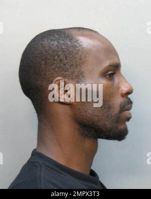 Dmx Rapper Speed Camera Rapper DMX (real name Earl Simmons) has been arrested again! According ...