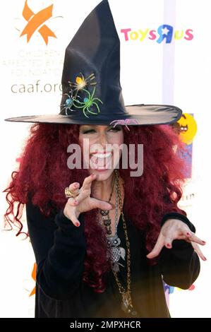 Melora Hardin at the 17th Annual Dream Halloween to benefit the Children Affected by Aids Foundation (CAAF) presented by Mattel and Toys 'R' Us at Barker Hanger in Santa Monica, CA. 10/30/10 Stock Photo