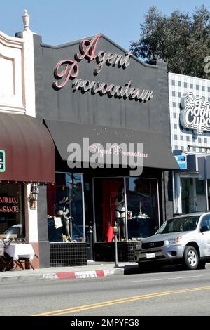 Carmen Electra and Korn guitarist Rob Patterson shoe shopping at ...