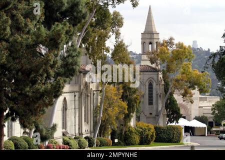 Mourners leave Forest Lawn Memorial Cemetery in limousines after funeral services were held for legendary actress Elizabeth Taylor. Taylor was buried in the cemetary next to hear parents and near friend Michael Jackson and other celebrities. The actress died yesterday of Congestive Heart Failure after being hospitalized for weeks. Los Angeles, CA. 3/24/11. Stock Photo