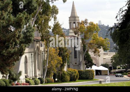 Mourners leave Forest Lawn Memorial Cemetery in limousines after funeral services were held for legendary actress Elizabeth Taylor. Taylor was buried in the cemetary next to hear parents and near friend Michael Jackson and other celebrities. The actress died yesterday of Congestive Heart Failure after being hospitalized for weeks. Los Angeles, CA. 3/24/11. Stock Photo