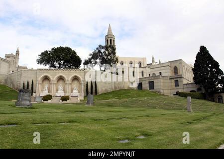 Mourners leave Forest Lawn Memorial Cemetery in limousines after funeral services were held for legendary actress Elizabeth Taylor. Taylor was buried in the cemetary next to hear parents and near friend Michael Jackson and other celebrities. The actress died yesterday of Congestive Heart Failure after being hospitalized for weeks. Los Angeles, CA. 3/24/11. Stock Photo