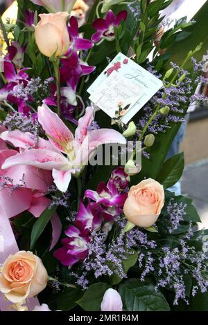 Fans pay tribute to Farrah Fawcett at her star on Hollywood Boulevard. Los Angeles, CA. 6/25/09. . Stock Photo