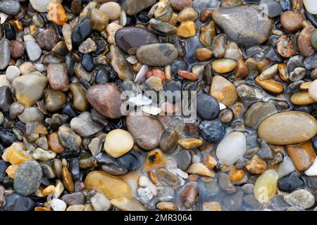 Colored wet stones on the beach polished round by the tides Stock Photo