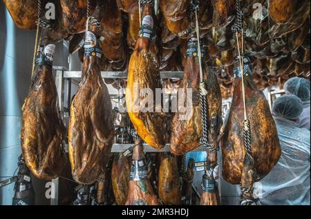 Production of iberian ham (cured ham), Puerto Gil, Spain Stock Photo