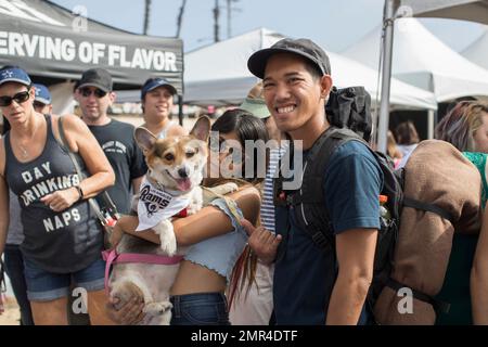 IMAGE DISTRIBUTED FOR NFL - A corgi dog dressed in Dallas Cowboys pet gear  participates in a fashion show at NFL Corgi Beach Day, Saturday, Oct. 28,  2017 in Huntington Beach, Calif. (