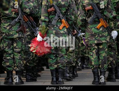 World War One - Romanian Army - Cavalry Stock Photo - Alamy