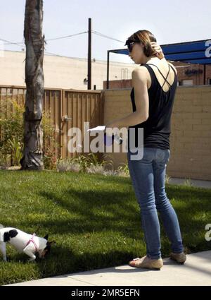 Exclusive!! 'Twilight: New Moon' actress Ashley Greene was seen doing some last minute script review with her puppy Marlow before changing her clothes and heading out to an audition in Culver City.  When asked what she was auditioning for Ashley said it was for a small independent film. Los Angeles, CA. 5/15/09. Stock Photo