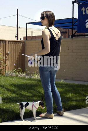 Exclusive!! 'Twilight: New Moon' actress Ashley Greene was seen doing some last minute script review with her puppy Marlow before changing her clothes and heading out to an audition in Culver City.  When asked what she was auditioning for Ashley said it was for a small independent film. Los Angeles, CA. 5/15/09. Stock Photo