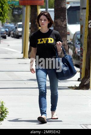 Exclusive!! 'Twilight: New Moon' actress Ashley Greene was seen doing some last minute script review with her puppy Marlow before changing her clothes and heading out to an audition in Culver City.  When asked what she was auditioning for Ashley said it was for a small independent film. Los Angeles, CA. 5/15/09. Stock Photo