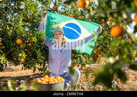 Cheerful middle-aged woman waving flag of Brazil while sitting near basket with tangerines in orchard Stock Photo