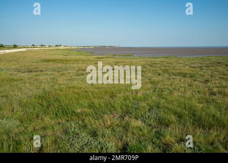 Flat coastal wetlands near Talmont sur Gironde on the right bank of the river Gironde estuary, Charente Maritime west Atlantic coast France Stock Photo