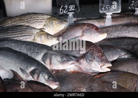 Different types of fresh fish in supermarket, closeup Stock Photo