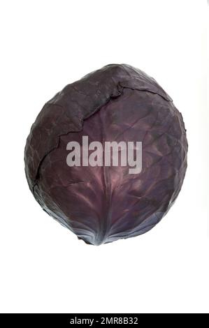 Red cabbage, red cabbage, blue cabbage, studio shot against white background Stock Photo