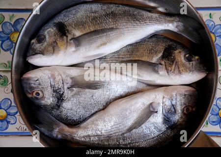 Still life, gilt-head sea bream (Sparus aurata), Orata, Isle of Capri, Campania, Italy, Europe Stock Photo