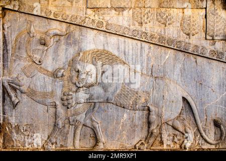 Relief Lion fighting with bull, Stairs of the Apadana Palace, Persepolis, Persepolis, Iran, Asia Stock Photo