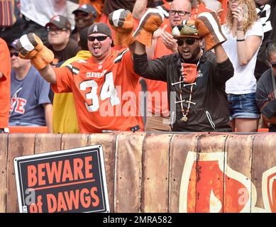 Cleveland Browns: Dawg Pound set for hostile takeover in Cincinnati