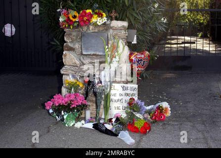 Fans and friends gather outside the Jackson family compound to leave flowers and gifts and pay their respects as the family arrives from UCLA Medical Center where Michael Jackson was pronounced dead after suffering from cardiac arrest this afternoon. Encino, CA. 6/25/09. Stock Photo