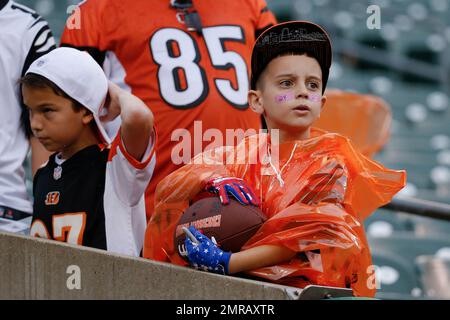 Minnesota Vikings fans hold signs in the stands before an preseason NFL  football game against the Cincinnati Bengals, Friday, Aug. 12, 2016, in  Cincinnati. (AP Photo/Gary Landers Stock Photo - Alamy