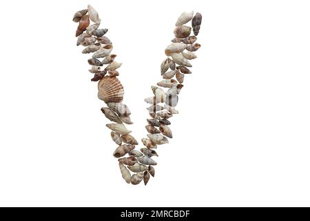 Letter V, summer concept idea. Letter V made with sea shell isolated on white background. Stock Photo